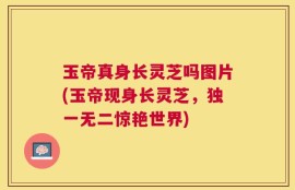 玉帝真身长灵芝吗图片(玉帝现身长灵芝，独一无二惊艳世界)