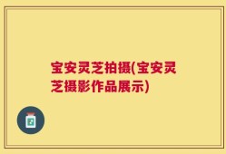 宝安灵芝拍摄(宝安灵芝摄影作品展示)