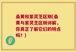 桑黄和紫灵芝区别(桑黄与紫灵芝区别详解，你真正了解它们的特点吗？)