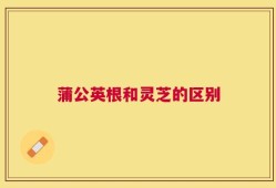 蒲公英根和灵芝的区别