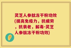 灵芝人参肽冻干粉功效(提高免疫力，抗疲劳，抗衰老，解毒-灵芝人参肽冻干粉功效)
