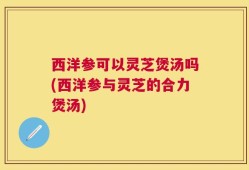 西洋参可以灵芝煲汤吗(西洋参与灵芝的合力煲汤)