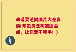 改造灵芝树图片大全高清(珍贵灵芝树美图盘点，让你爱不释手！)