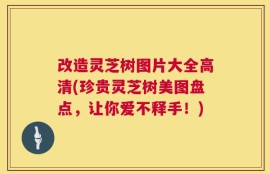 改造灵芝树图片大全高清(珍贵灵芝树美图盘点，让你爱不释手！)