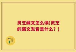 灵芝藏文怎么读(灵芝的藏文发音是什么？)