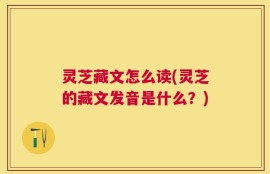 灵芝藏文怎么读(灵芝的藏文发音是什么？)