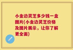 小金边灵芝多少钱一盒图片(小金边灵芝价格及图片展示，让你了解更全面)
