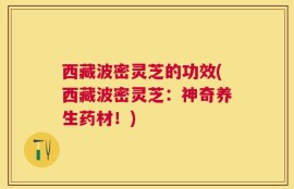 西藏波密灵芝的功效(西藏波密灵芝：神奇养生药材！)