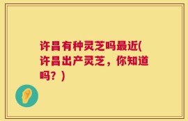 许昌有种灵芝吗最近(许昌出产灵芝，你知道吗？)