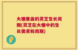 大棚里面的灵芝生长周期(灵芝在大棚中的生长需求和周期)