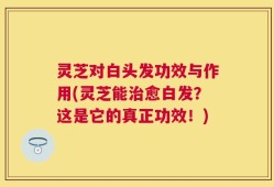 灵芝对白头发功效与作用(灵芝能治愈白发？这是它的真正功效！)