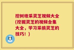 挖树墩采灵芝视频大全(挖掘灵芝的视频合集大全，学习采摘灵芝的技巧！)