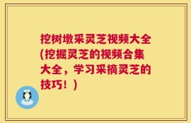 挖树墩采灵芝视频大全(挖掘灵芝的视频合集大全，学习采摘灵芝的技巧！)