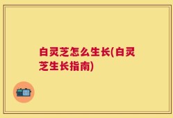 白灵芝怎么生长(白灵芝生长指南)