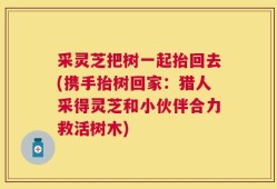 采灵芝把树一起抬回去(携手抬树回家：猎人采得灵芝和小伙伴合力救活树木)