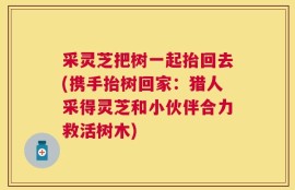 采灵芝把树一起抬回去(携手抬树回家：猎人采得灵芝和小伙伴合力救活树木)