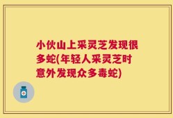 小伙山上采灵芝发现很多蛇(年轻人采灵芝时意外发现众多毒蛇)