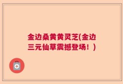 金边桑黄黄灵芝(金边三元仙草震撼登场！)