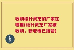 收购松针灵芝的厂家在哪里(松针灵芝厂家被收购，新老板已接管)