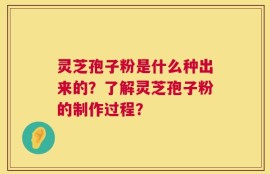 灵芝孢子粉是什么种出来的？了解灵芝孢子粉的制作过程？