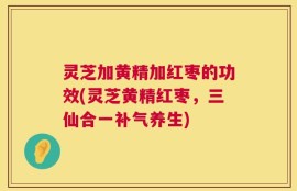 灵芝加黄精加红枣的功效(灵芝黄精红枣，三仙合一补气养生)