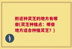 附近种灵芝的地方有哪些(灵芝种植点：哪些地方适合种植灵芝？)