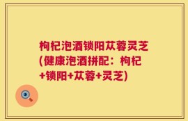 枸杞泡酒锁阳苁蓉灵芝(健康泡酒拼配：枸杞+锁阳+苁蓉+灵芝)