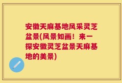 安徽天麻基地风采灵芝盆景(风景如画！来一探安徽灵芝盆景天麻基地的美景)