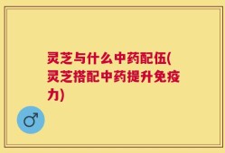 灵芝与什么中药配伍(灵芝搭配中药提升免疫力)