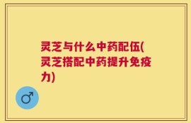 灵芝与什么中药配伍(灵芝搭配中药提升免疫力)