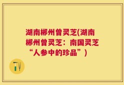 湖南郴州曾灵芝(湖南郴州曾灵芝：南国灵芝“人参中的珍品”)