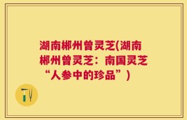 湖南郴州曾灵芝(湖南郴州曾灵芝：南国灵芝“人参中的珍品”)