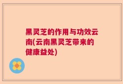 黑灵芝的作用与功效云南(云南黑灵芝带来的健康益处)