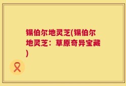 锡伯尔地灵芝(锡伯尔地灵芝：草原奇异宝藏)