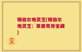 锡伯尔地灵芝(锡伯尔地灵芝：草原奇异宝藏)