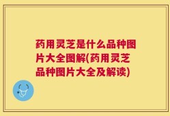 药用灵芝是什么品种图片大全图解(药用灵芝品种图片大全及解读)