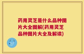 药用灵芝是什么品种图片大全图解(药用灵芝品种图片大全及解读)