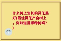 什么树上生长的灵芝最好(最佳灵芝产自树上，你知道是哪种树吗？)