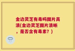 金边灵芝有毒吗图片高清(金边灵芝图片清晰，是否含有毒素？)