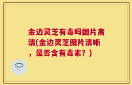 金边灵芝有毒吗图片高清(金边灵芝图片清晰，是否含有毒素？)