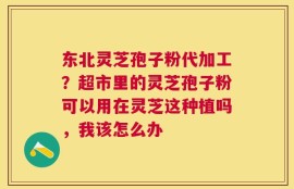 东北灵芝孢子粉代加工？超市里的灵芝孢子粉可以用在灵芝这种植吗，我该怎么办