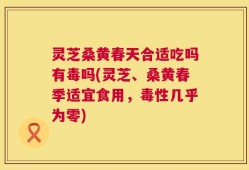 灵芝桑黄春天合适吃吗有毒吗(灵芝、桑黄春季适宜食用，毒性几乎为零)