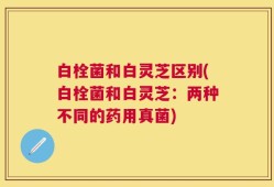 白栓菌和白灵芝区别(白栓菌和白灵芝：两种不同的药用真菌)