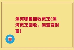 漯河哪里回收灵芝(漯河灵芝回收，闲置变财富)