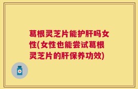 葛根灵芝片能护肝吗女性(女性也能尝试葛根灵芝片的肝保养功效)