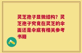 灵芝孢子显微结构？灵芝孢子究竟在灵芝的伞面还是伞底有相关参考书籍