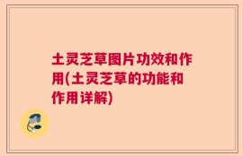 土灵芝草图片功效和作用(土灵芝草的功能和作用详解)