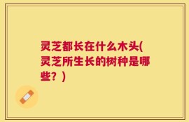 灵芝都长在什么木头(灵芝所生长的树种是哪些？)