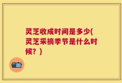 灵芝收成时间是多少(灵芝采摘季节是什么时候？)