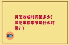 灵芝收成时间是多少(灵芝采摘季节是什么时候？)